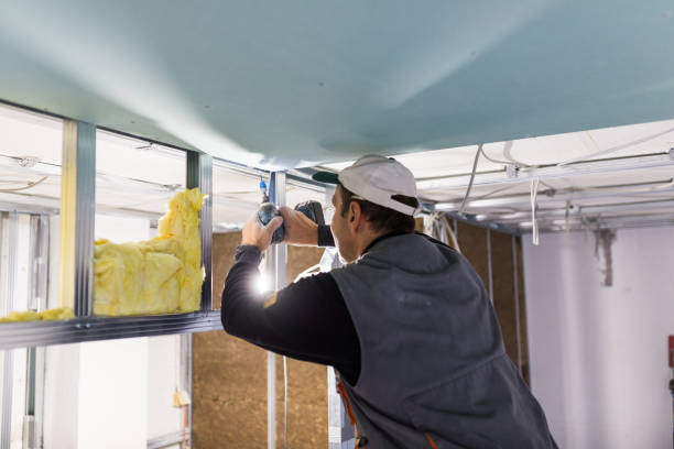 Best Insulation Maintenance and Repair in Blountsville, AL